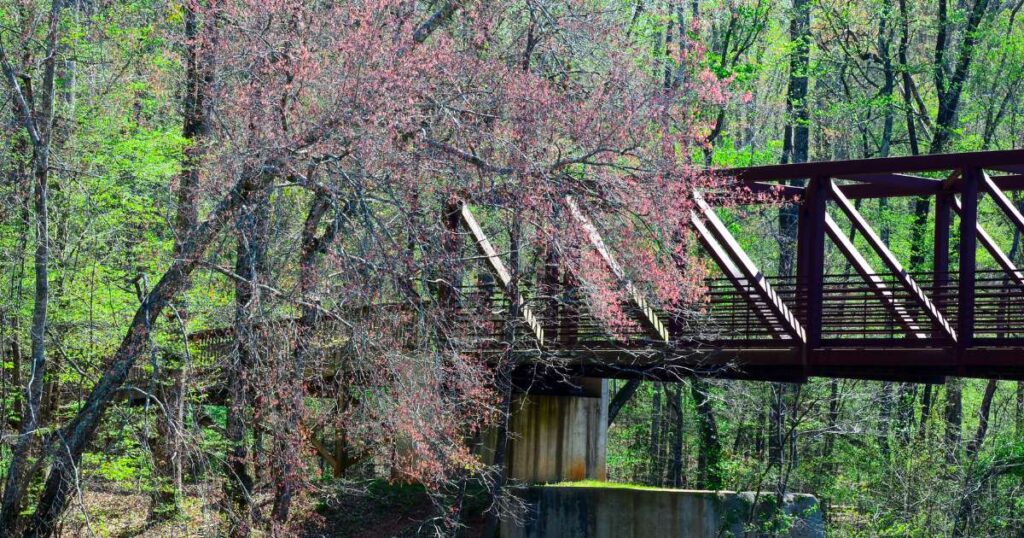 Lithia Springs Ga Metal Bridge Crosses Near New Pastel Leaves In Spring